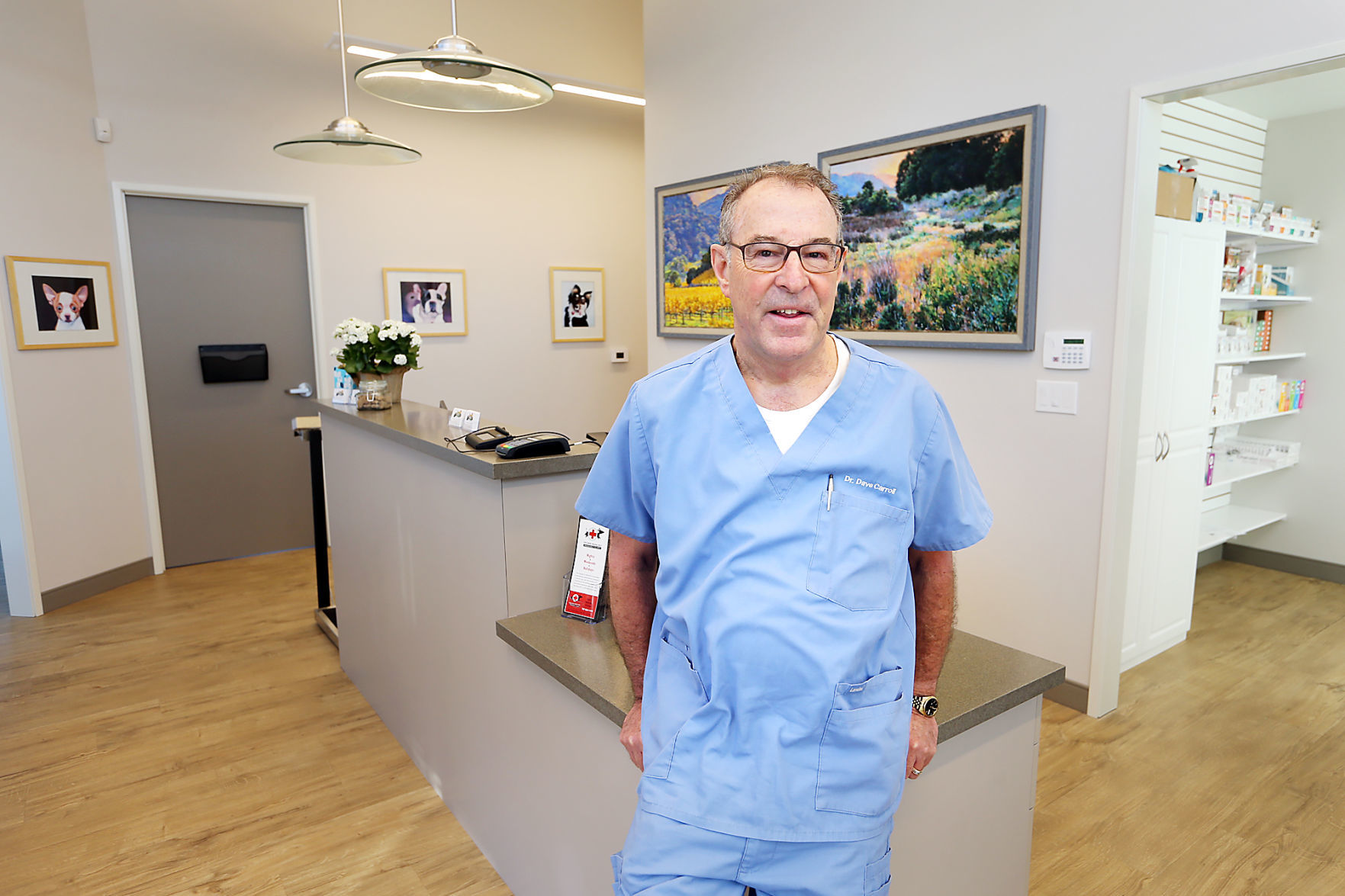 Dr. David Carroll
